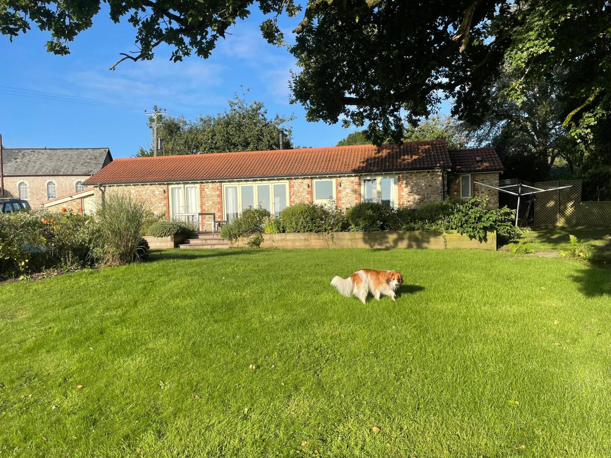 The Cosy Cowshed Villa Axminster Exterior photo